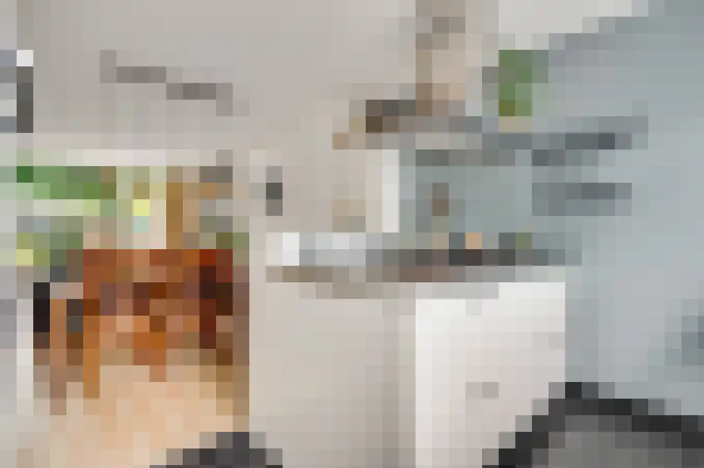 Terborgh 9 Weert thumbnail 23