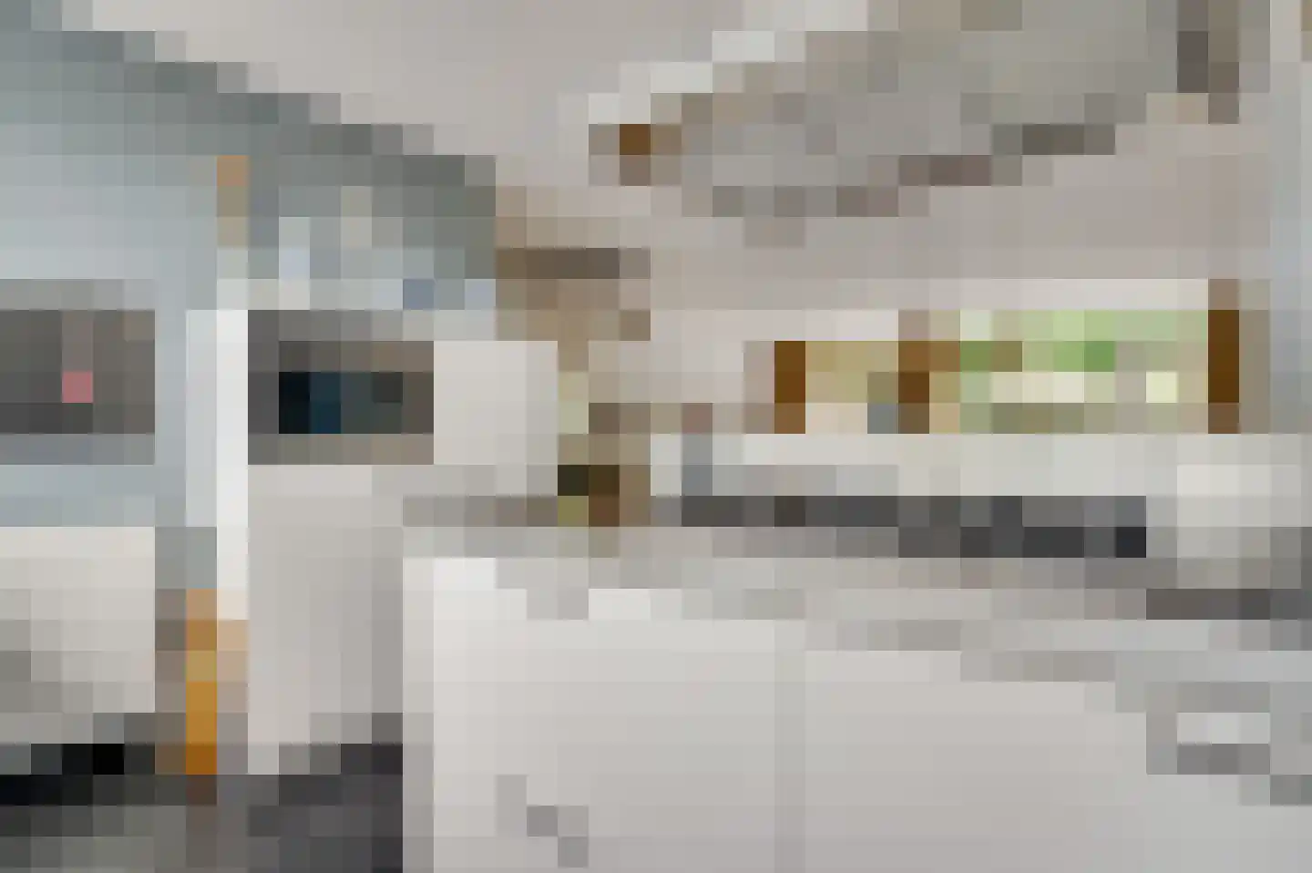 Terborgh 9 Weert thumbnail 25