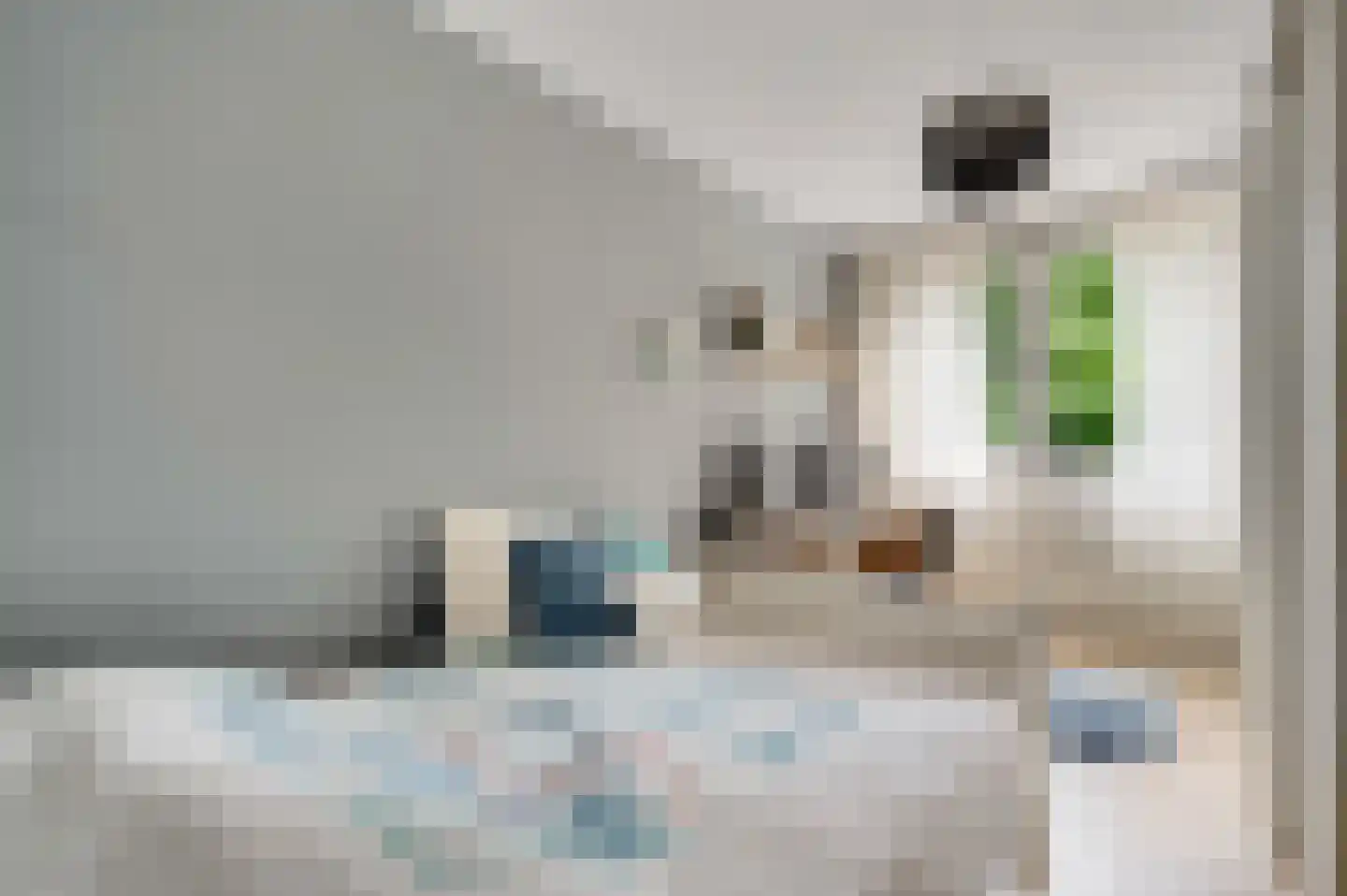 Terborgh 9 Weert thumbnail 29