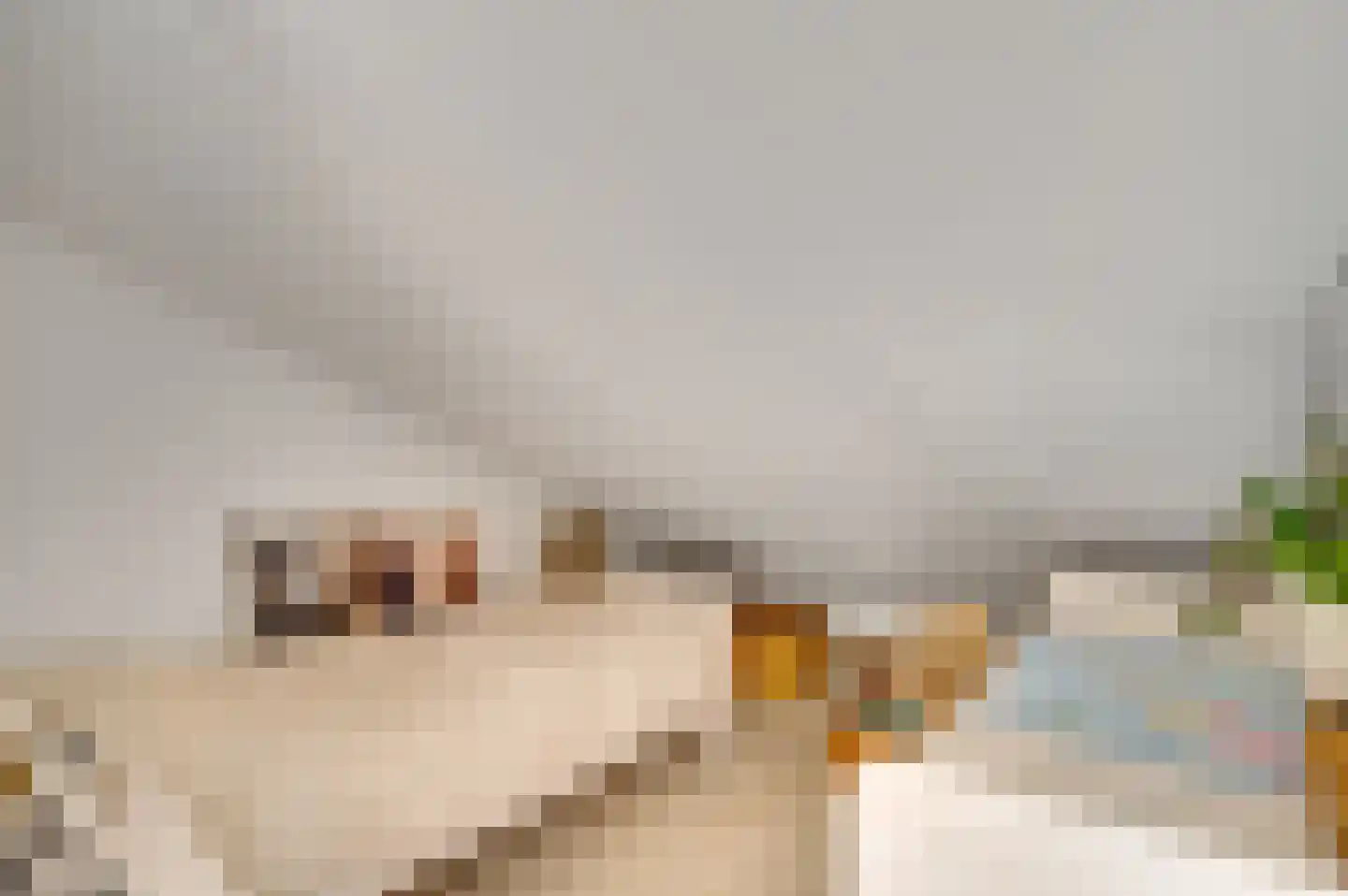Terborgh 9 Weert thumbnail 36