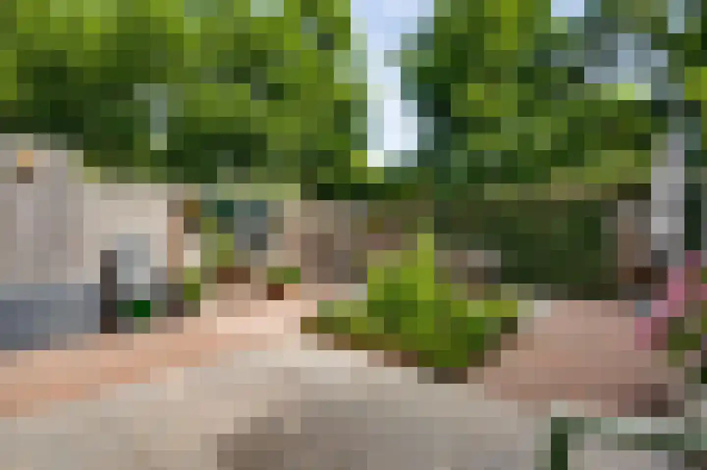 Terborgh 9 Weert thumbnail 42
