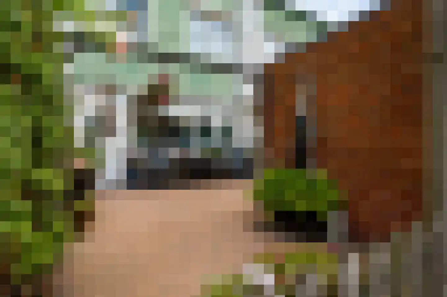 Terborgh 9 Weert thumbnail 9