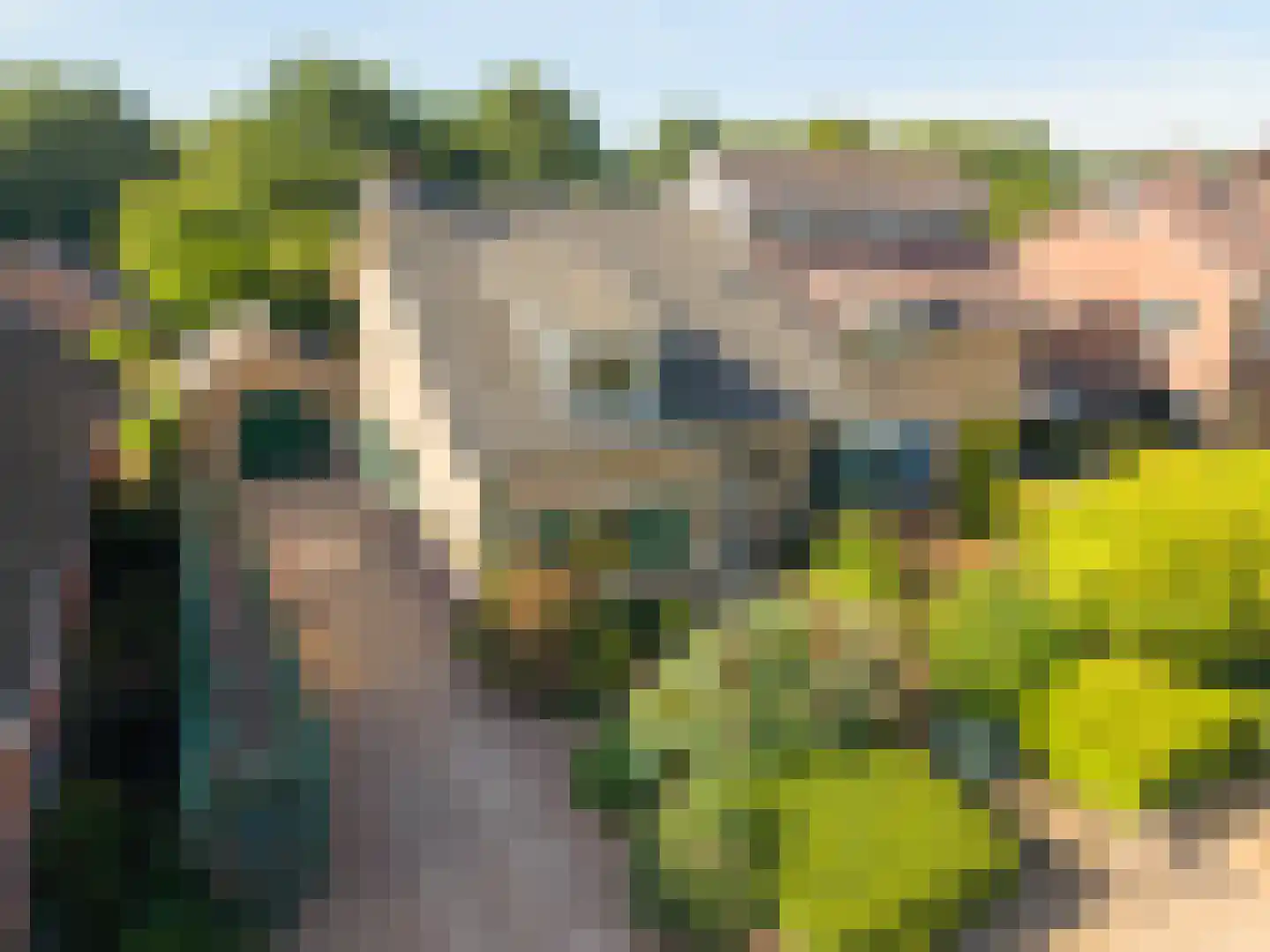Terborgseveld 13 Silvolde