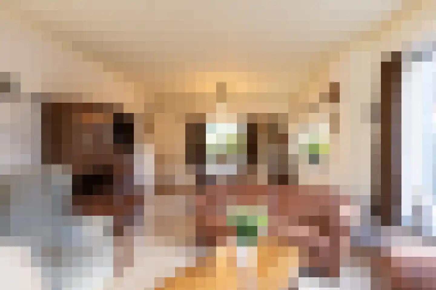 Terborgseveld 13 Silvolde thumbnail 15