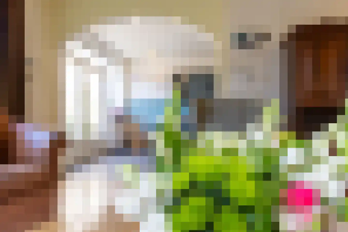 Terborgseveld 13 Silvolde thumbnail 16