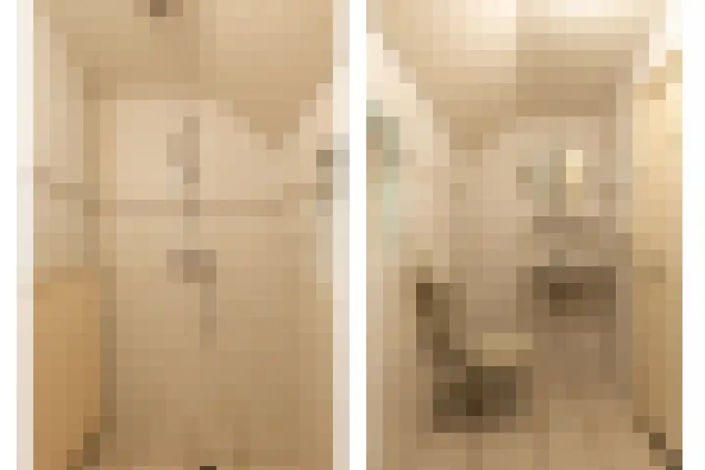 Terborgseveld 13 Silvolde thumbnail 29