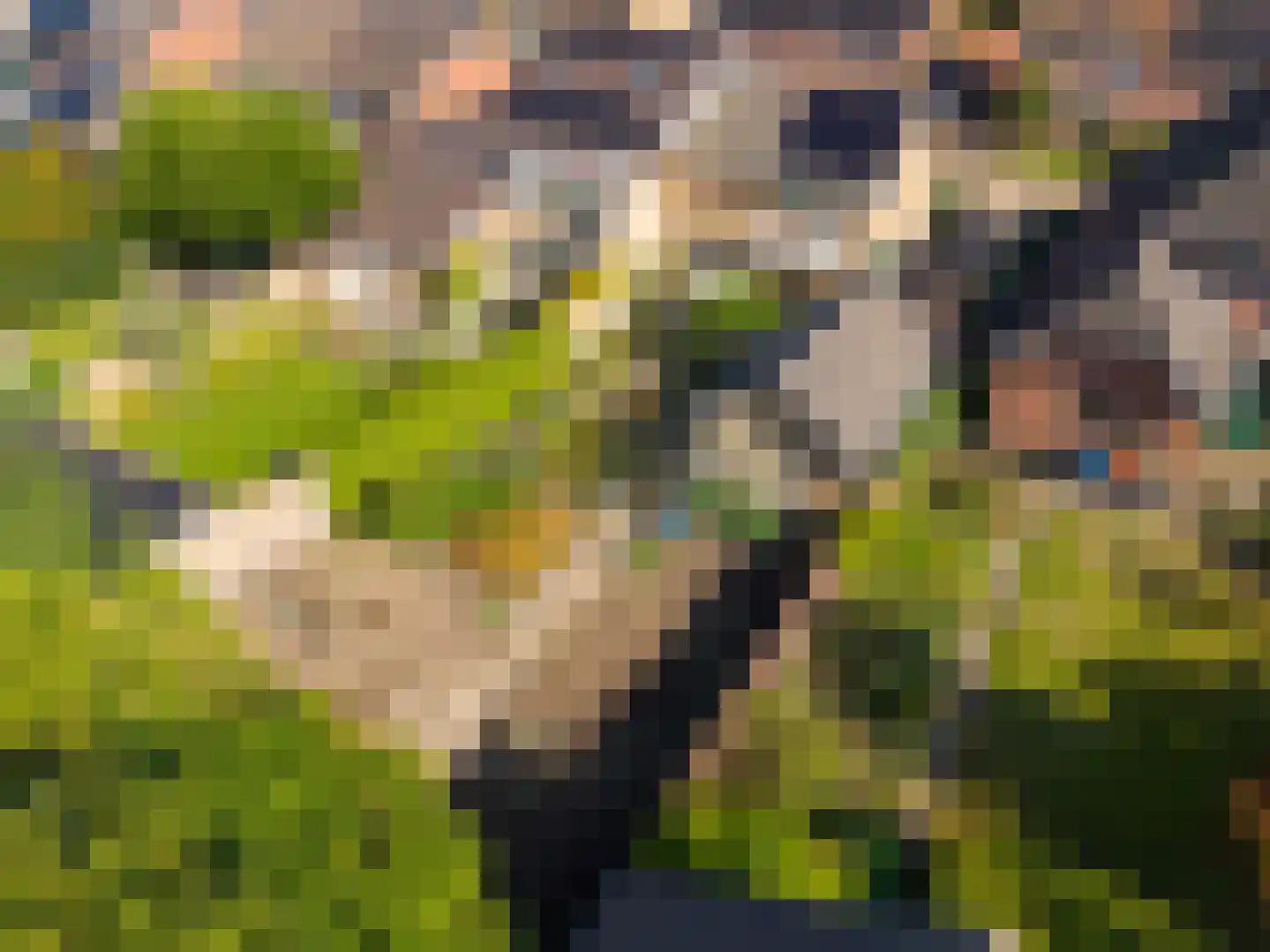 Terborgseveld 13 Silvolde thumbnail 35