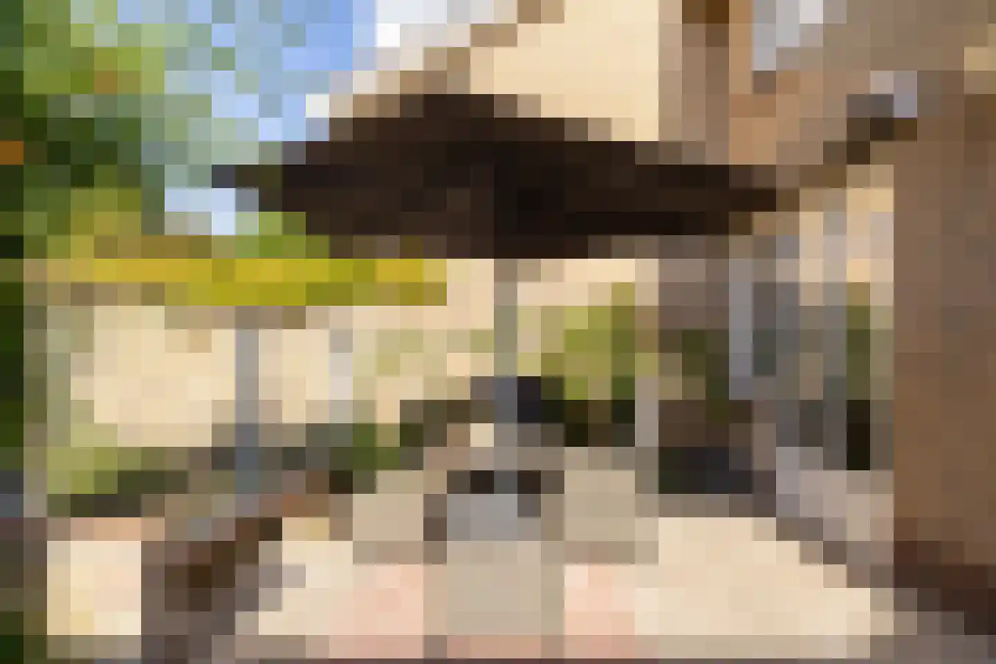 Terborgseveld 13 Silvolde thumbnail 37