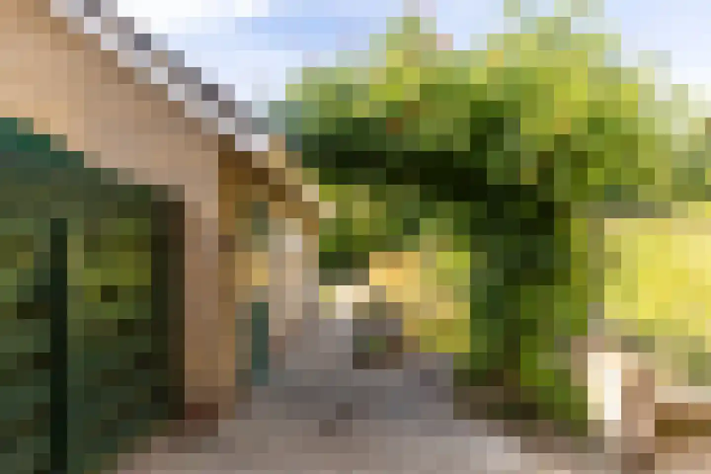 Terborgseveld 13 Silvolde thumbnail 38