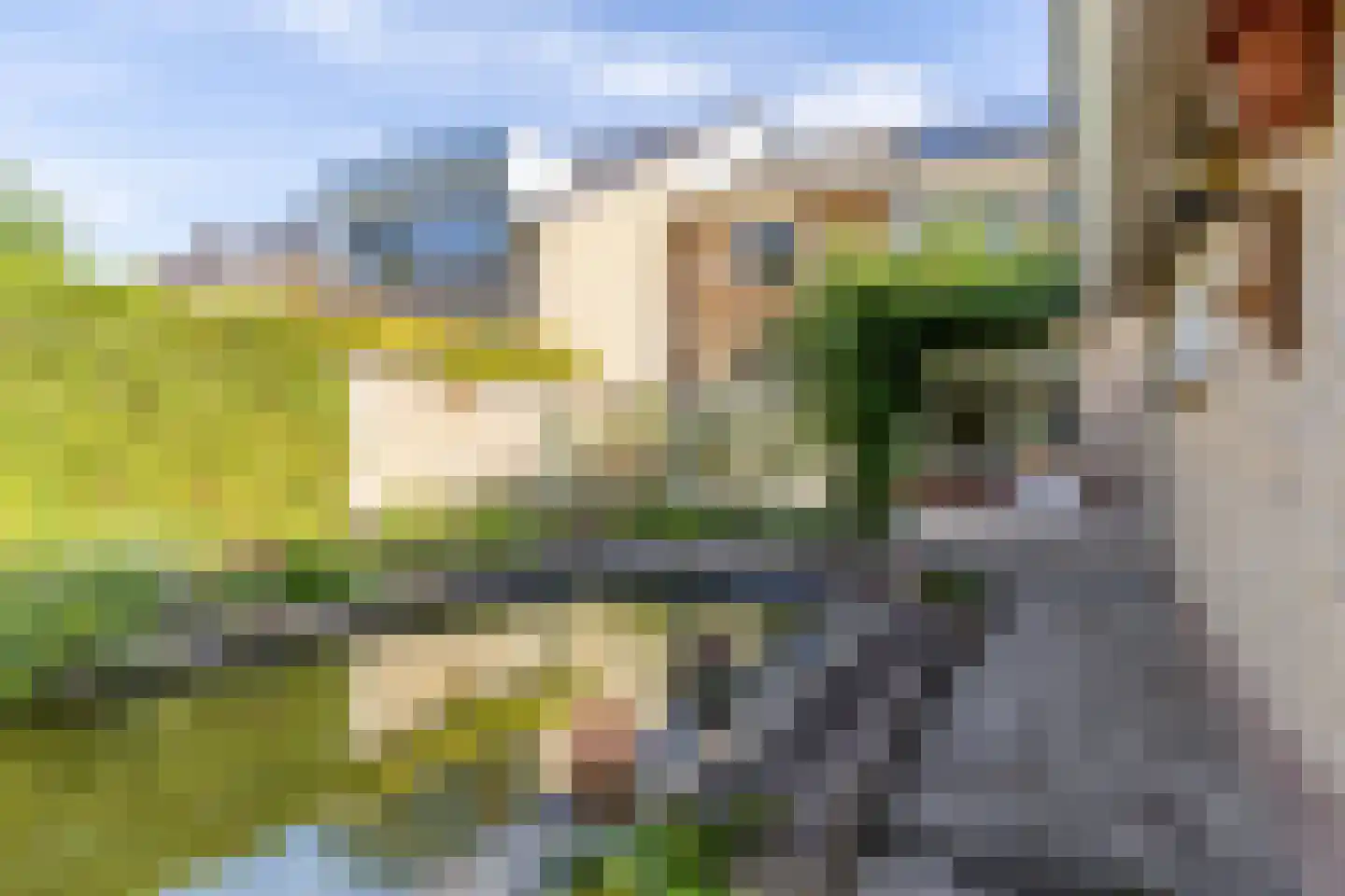Terborgseveld 13 Silvolde thumbnail 39