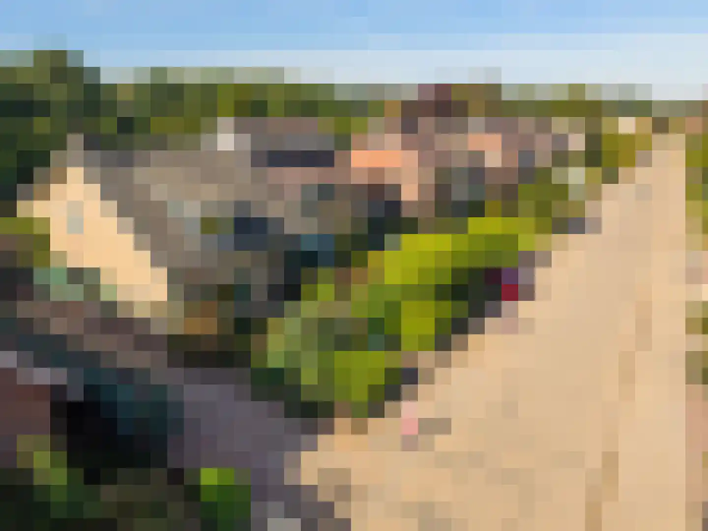 Terborgseveld 13 Silvolde thumbnail 8
