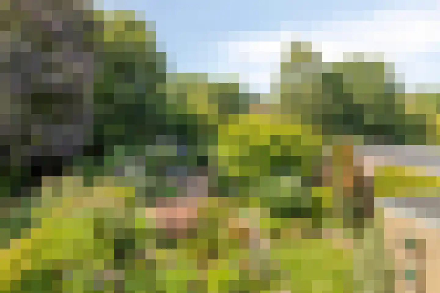 Terborgseveld 51 Silvolde thumbnail 19