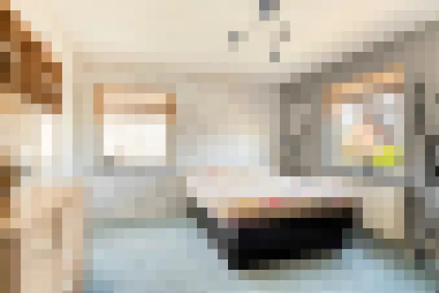 Terborgseveld 51 Silvolde thumbnail 24
