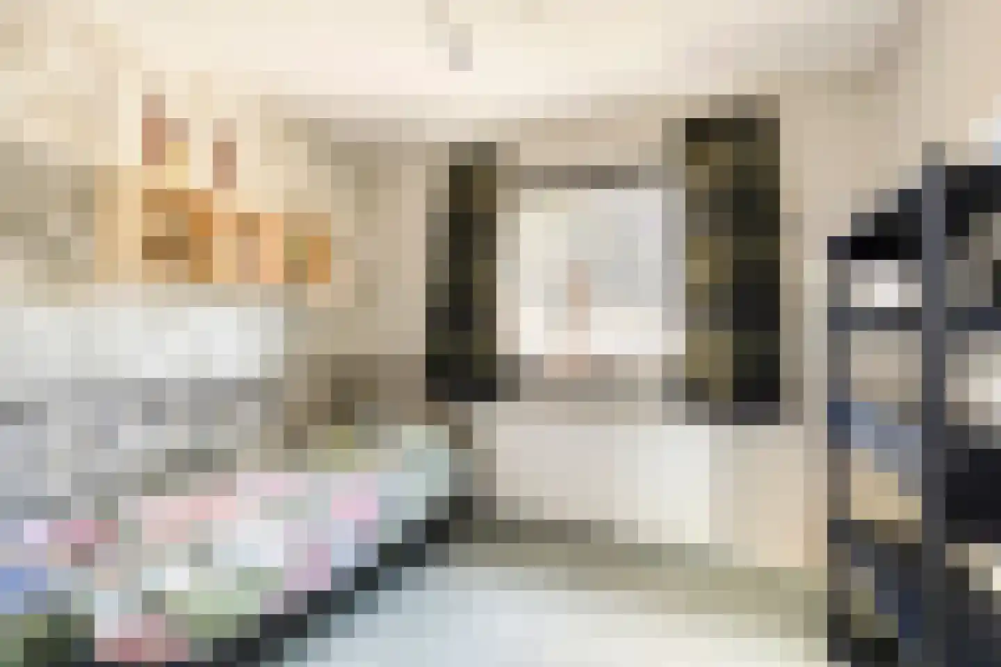 Terborgseveld 51 Silvolde thumbnail 25
