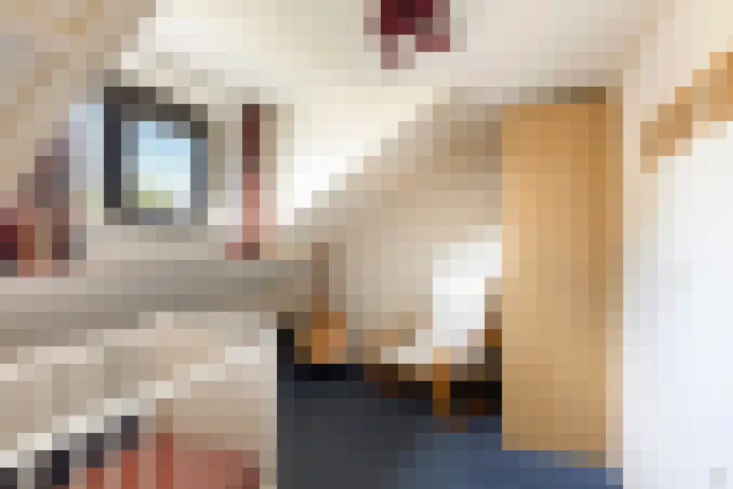 Terborgseveld 51 Silvolde thumbnail 29