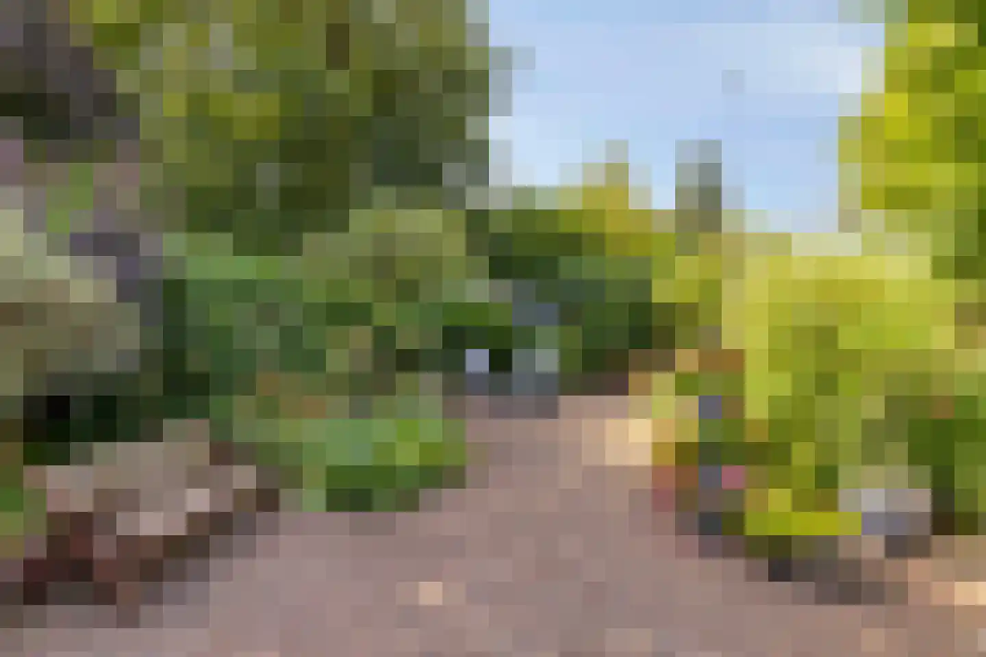 Terborgseveld 51 Silvolde thumbnail 30