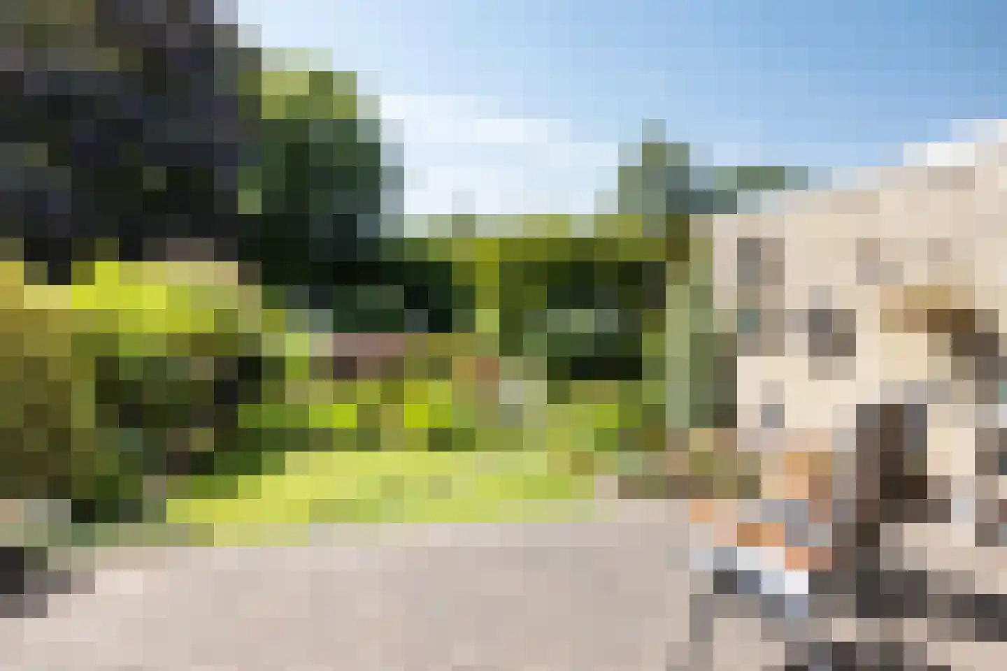 Terborgseveld 51 Silvolde thumbnail 31