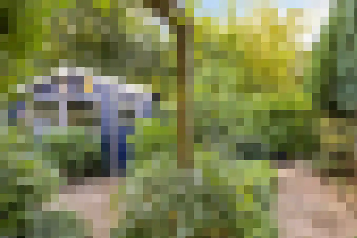 Terborgseveld 51 Silvolde thumbnail 34