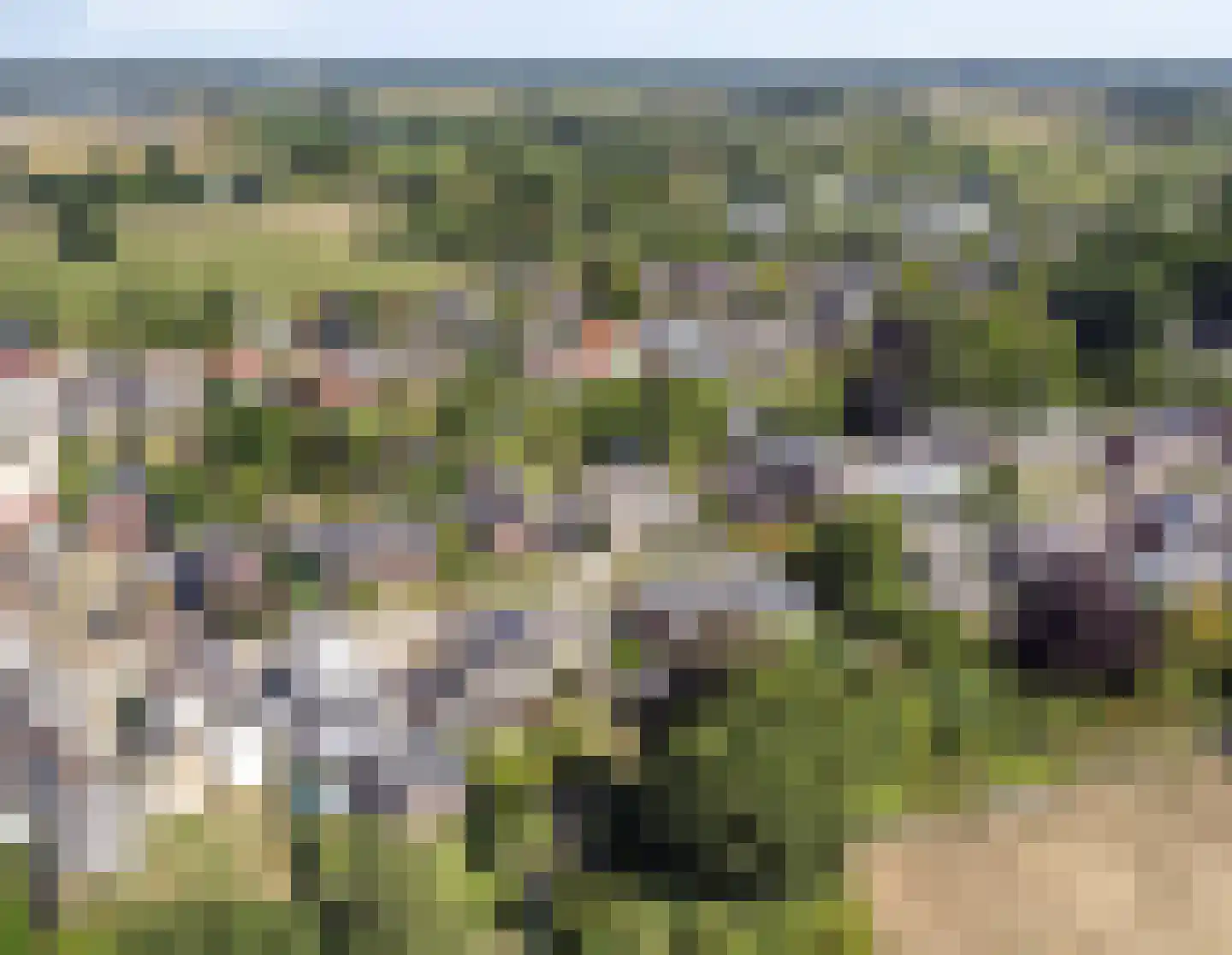 Terborgseveld 51 Silvolde thumbnail 38
