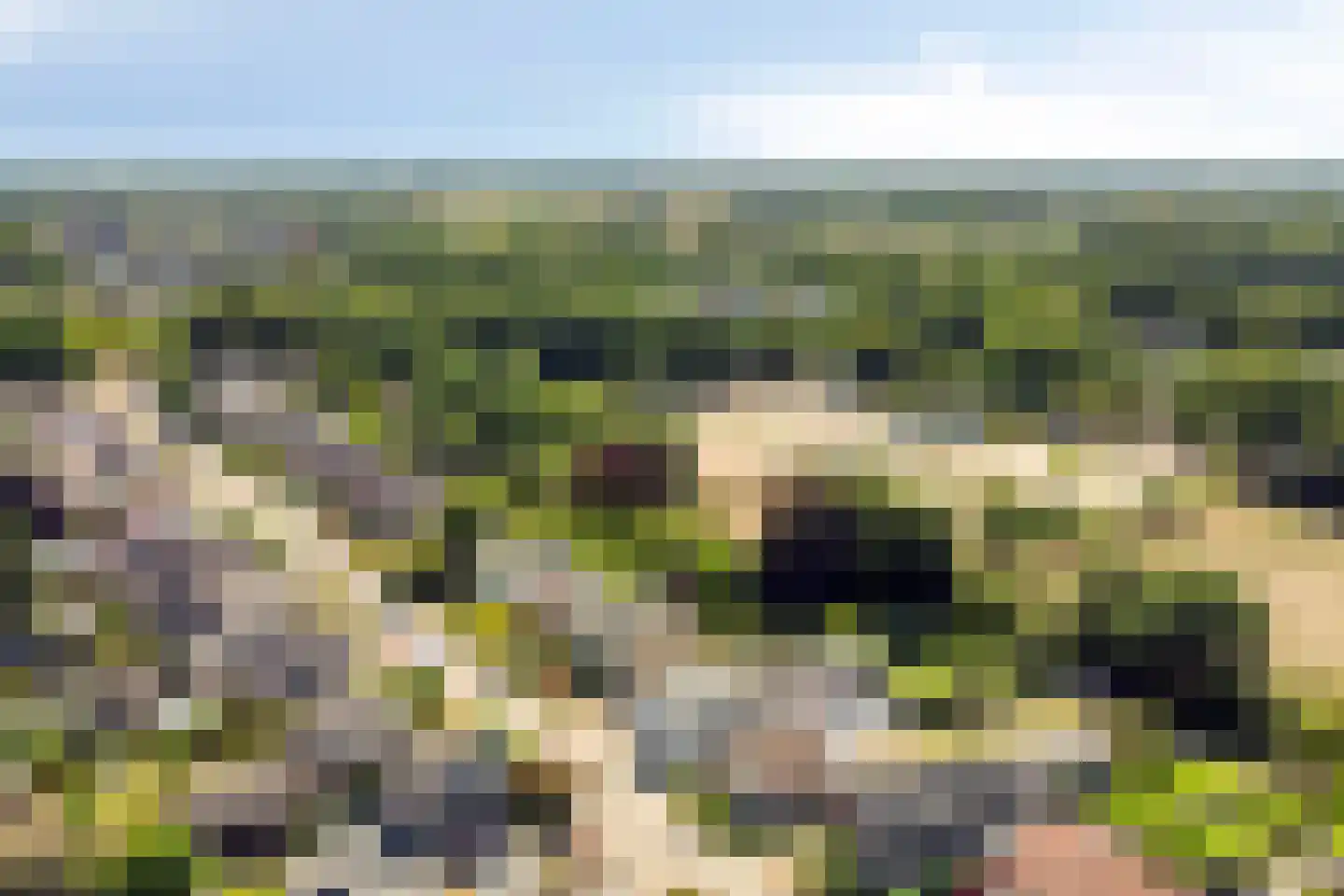 Terborgseveld 51 Silvolde thumbnail 39