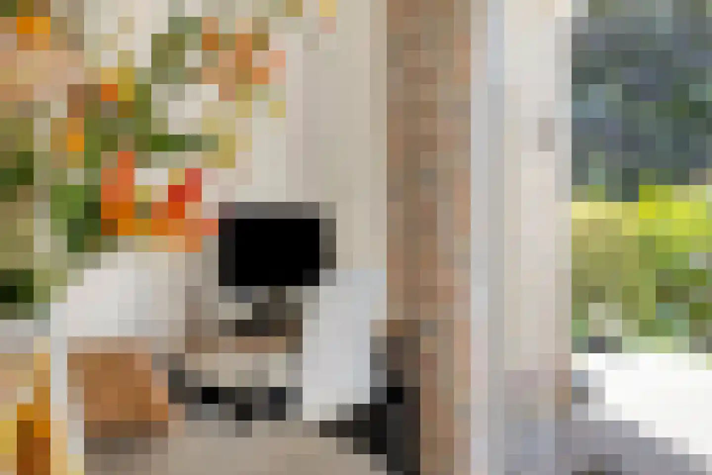 Terborgseveld 51 Silvolde thumbnail 5