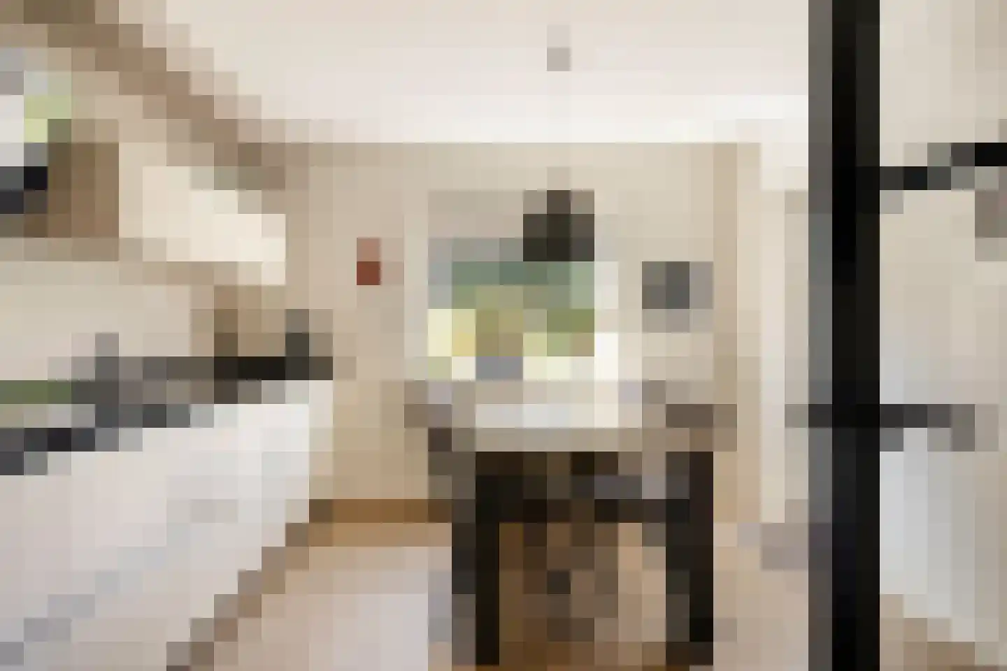Terborgseveld 51 Silvolde thumbnail 8