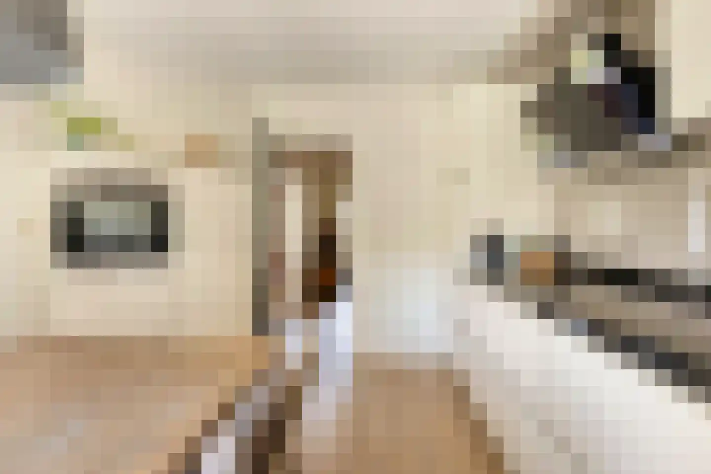 Terborgseveld 51 Silvolde thumbnail 9