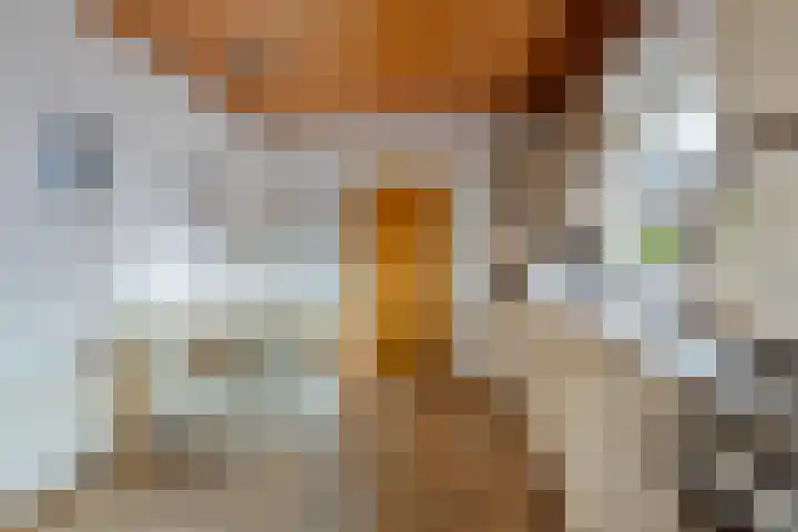 Terborgseveld 8 Silvolde thumbnail 20