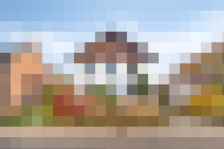Terborgseveld 8 Silvolde foto 3