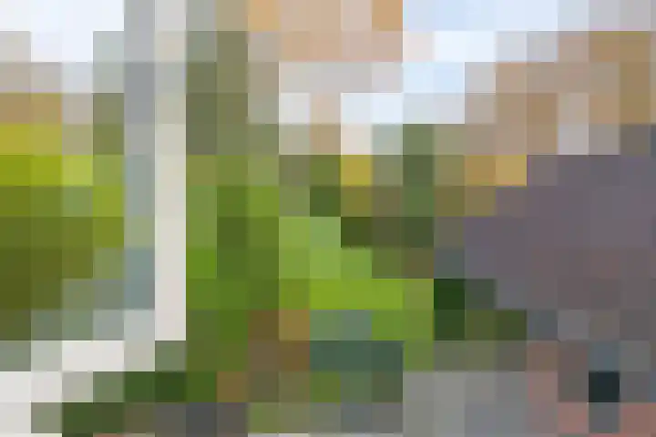 Terborgseveld 8 Silvolde thumbnail 32