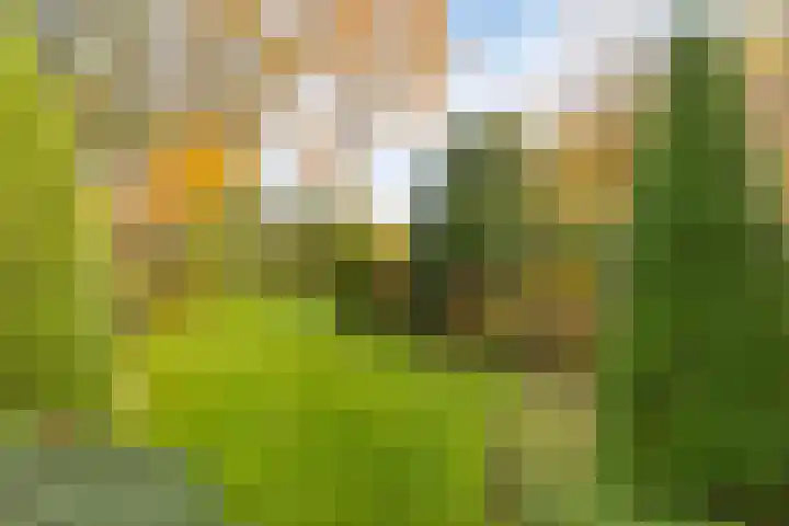 Terborgseveld 8 Silvolde thumbnail 45