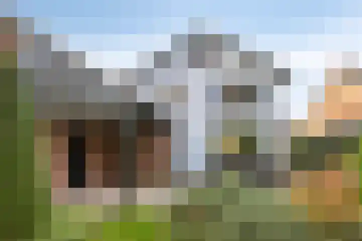 Terborgseveld 8 Silvolde thumbnail 46