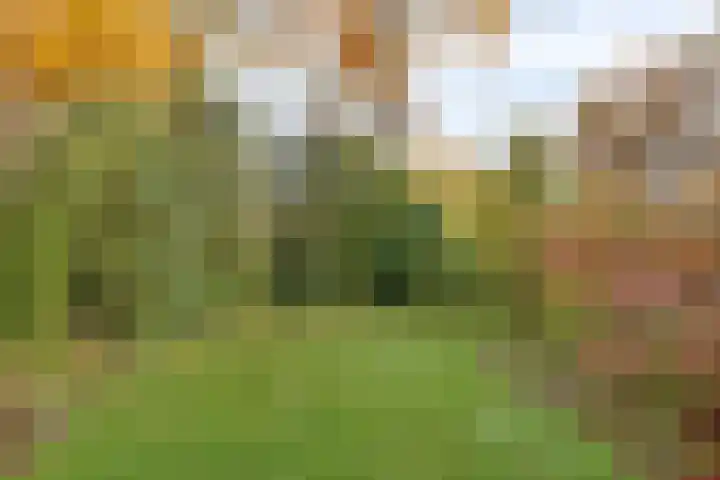 Terborgseveld 8 Silvolde thumbnail 47