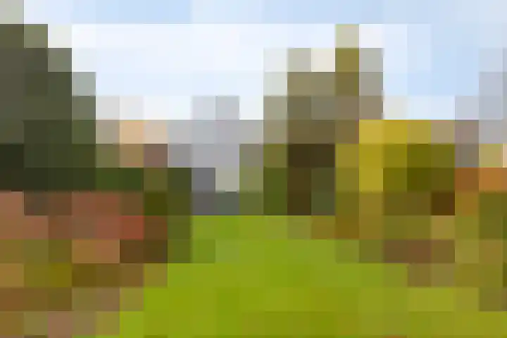 Terborgseveld 8 Silvolde thumbnail 48
