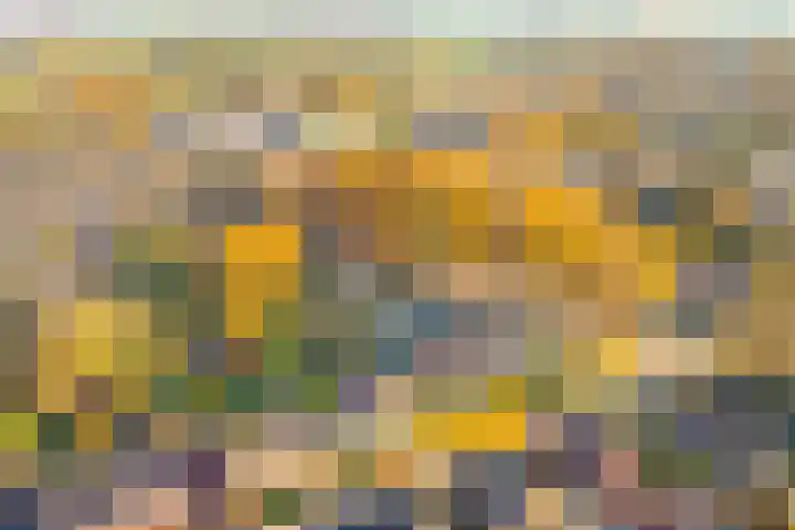 Terborgseveld 8 Silvolde thumbnail 51