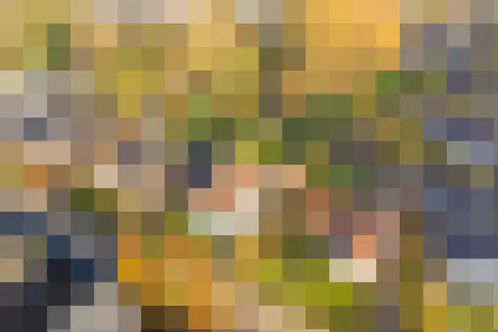 Terborgseveld 8 Silvolde thumbnail 52