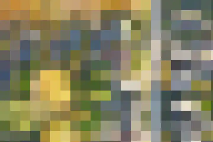 Terborgseveld 8 Silvolde thumbnail 53