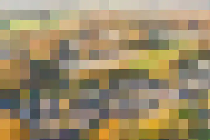 Terborgseveld 8 Silvolde thumbnail 54
