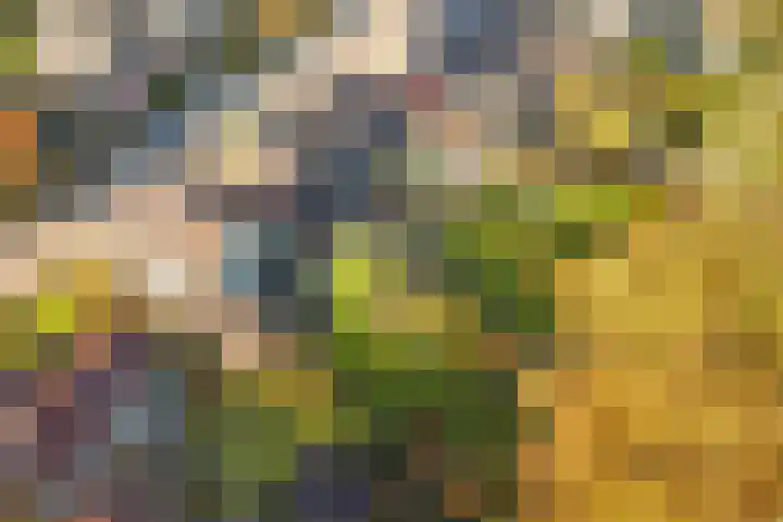 Terborgseveld 8 Silvolde thumbnail 55