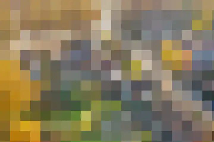 Terborgseveld 8 Silvolde thumbnail 56