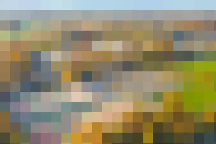 Terborgseveld 8 Silvolde thumbnail 57
