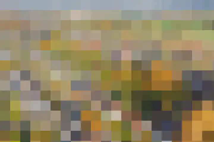 Terborgseveld 8 Silvolde thumbnail 58