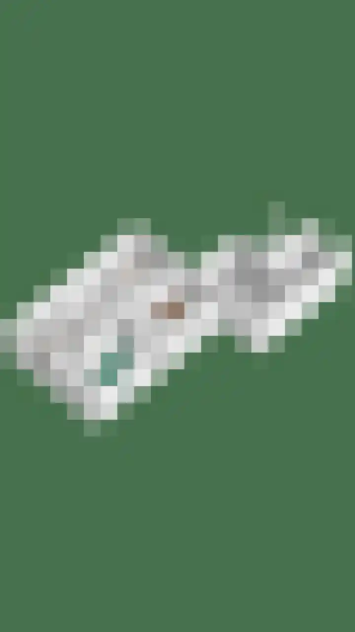 Terborgseveld 8 Silvolde thumbnail 60