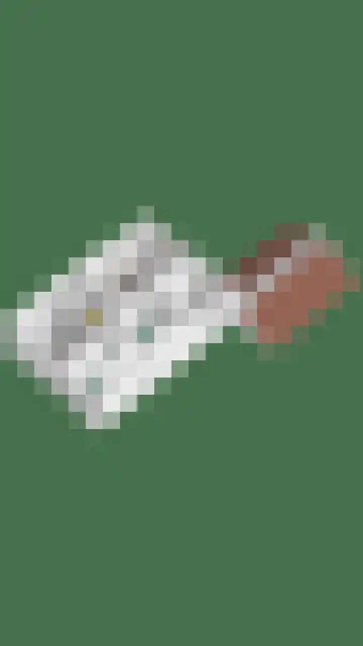 Terborgseveld 8 Silvolde thumbnail 62