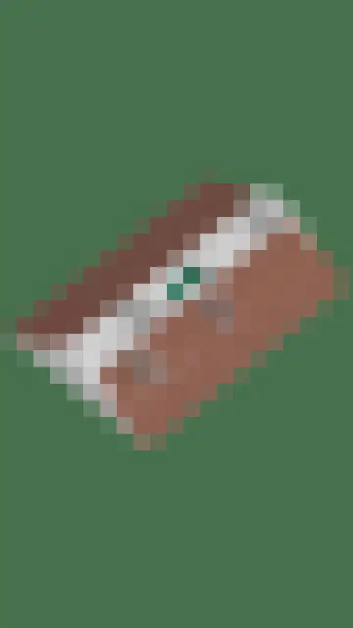 Terborgseveld 8 Silvolde thumbnail 64