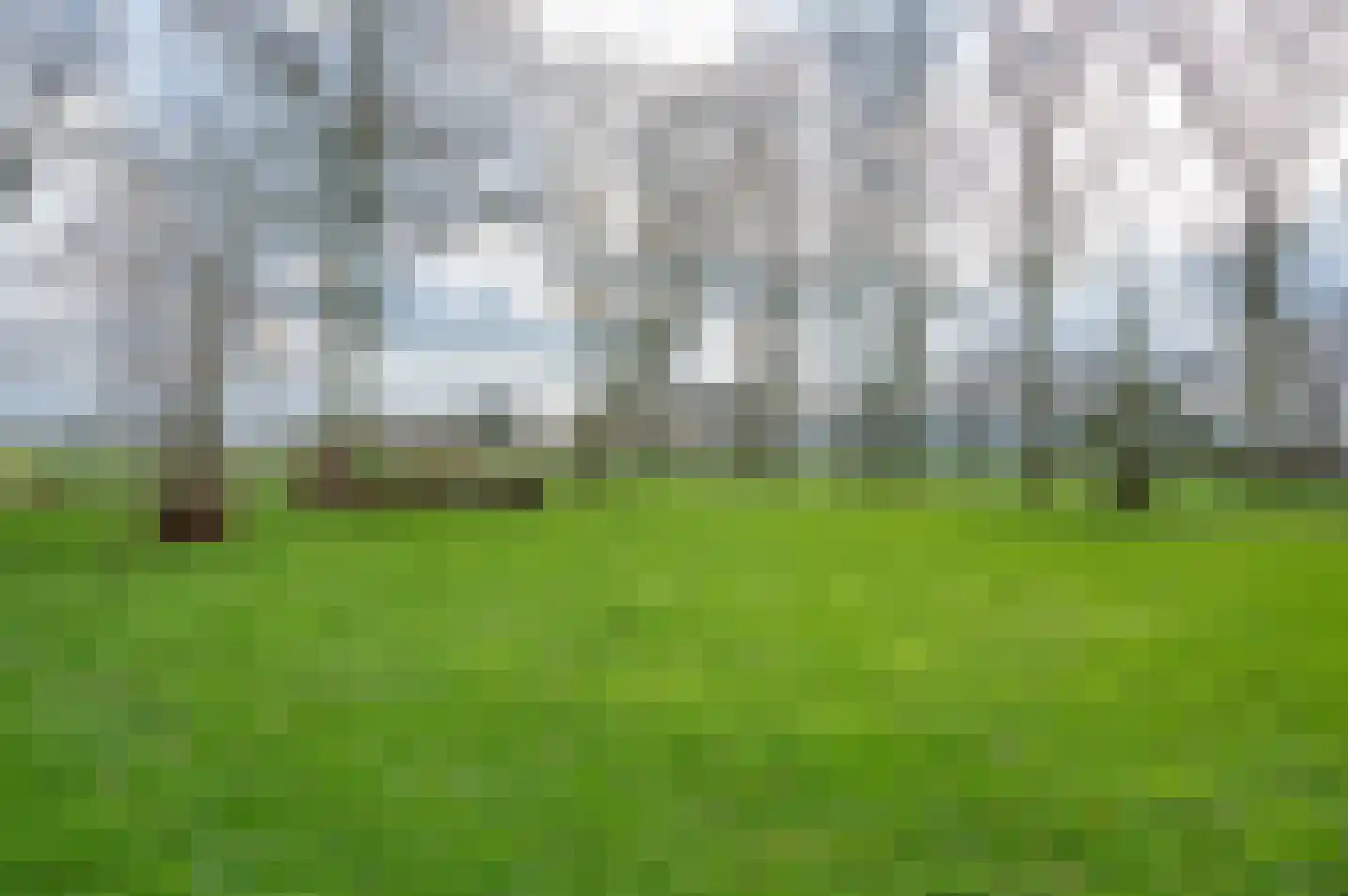 Terborgseweg 11 Breedenbroek thumbnail 13