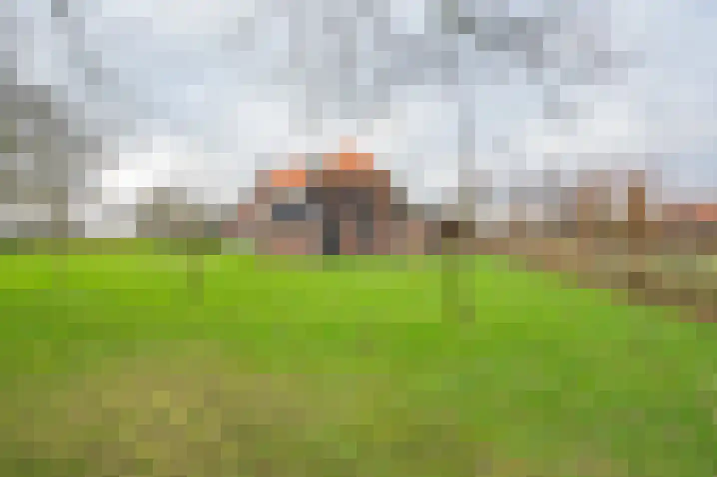 Terborgseweg 11 Breedenbroek thumbnail 16