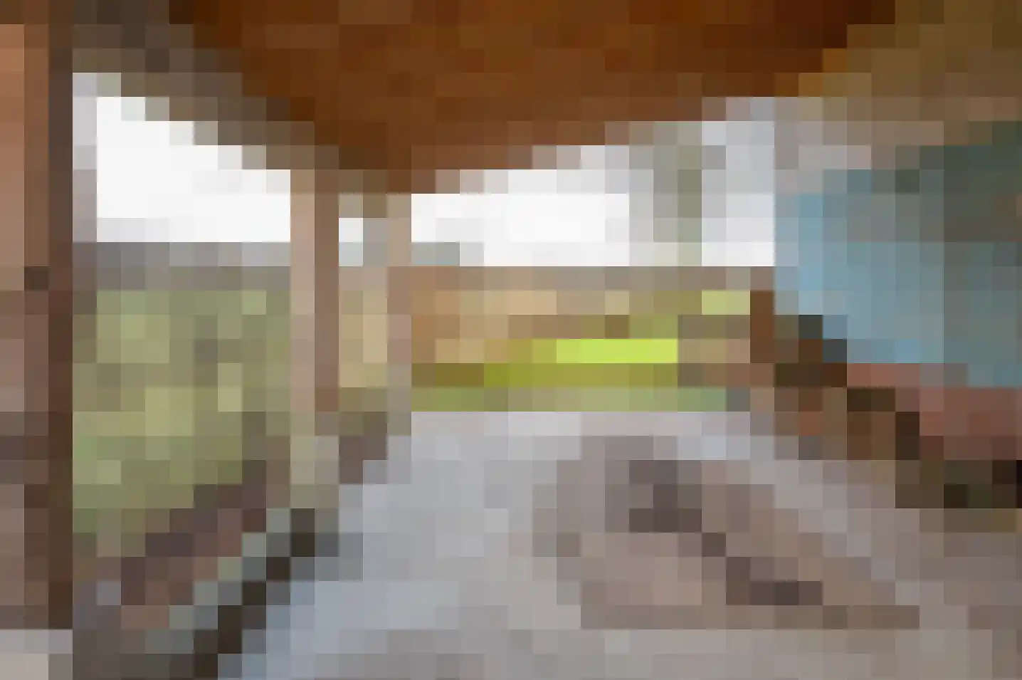 Terborgseweg 11 Breedenbroek thumbnail 17