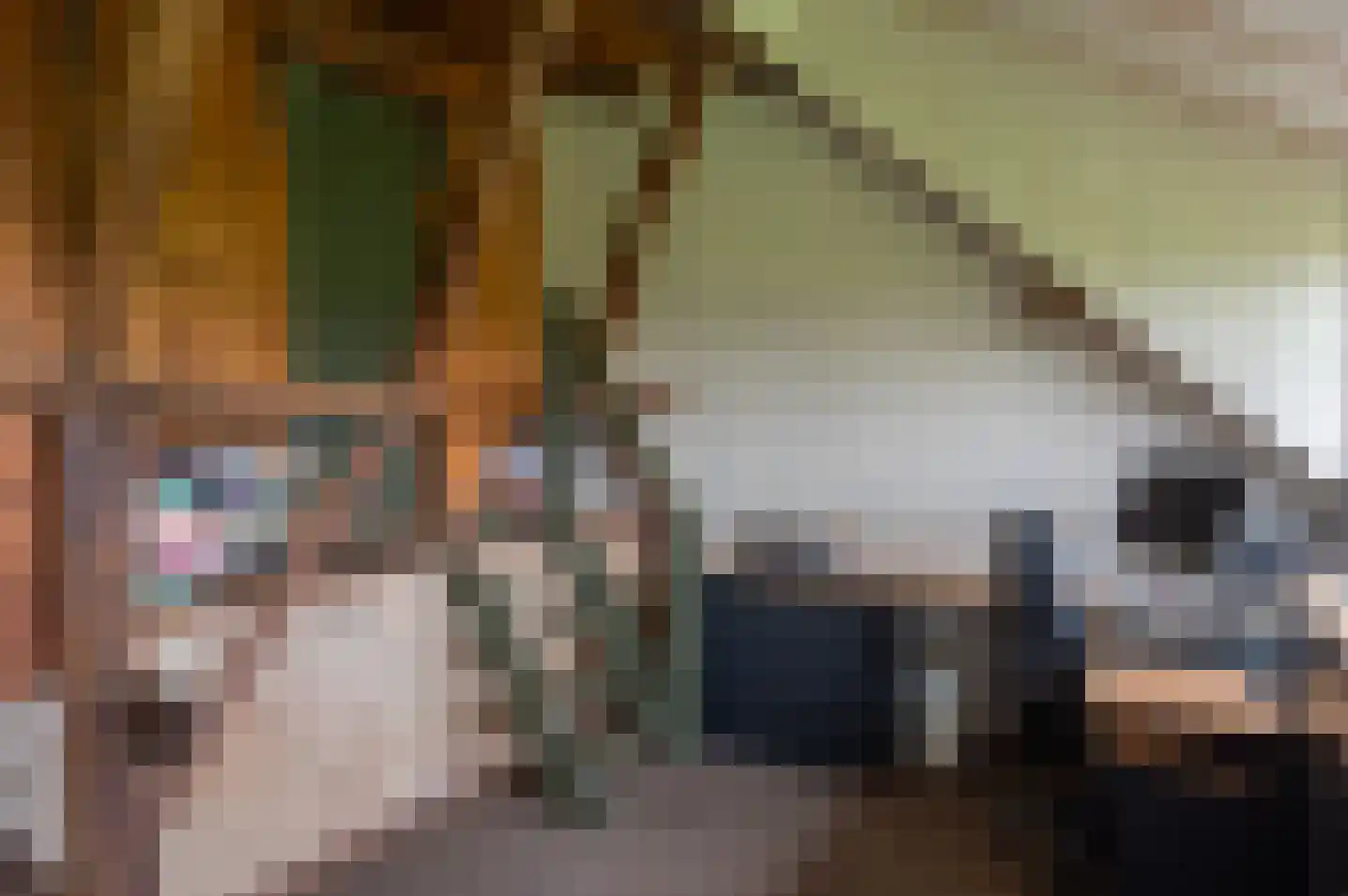 Terborgseweg 11 Breedenbroek thumbnail 38