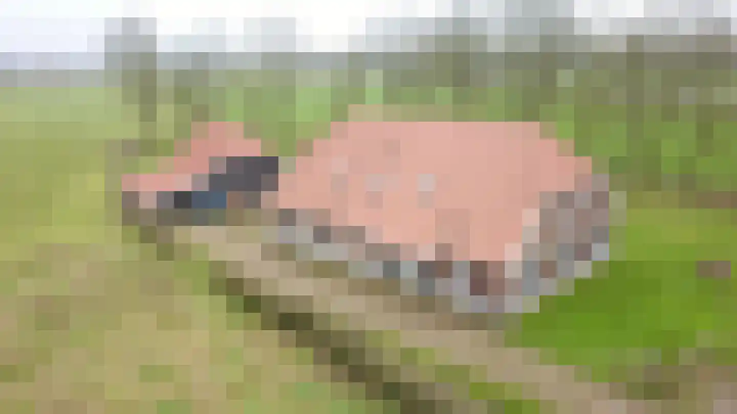 Terborgseweg 11 Breedenbroek thumbnail 47